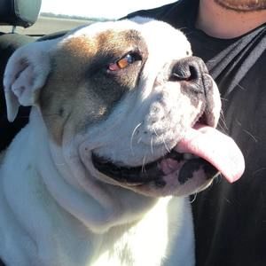 Meet your Posher, Austin